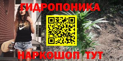 кокс Нарткала