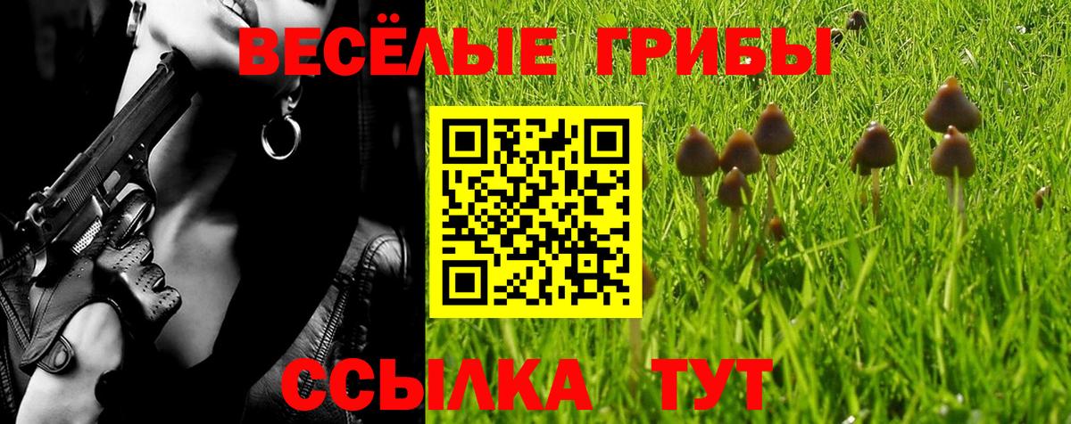 Галлюциногенные грибы Psilocybine cubensis Ахтубинск